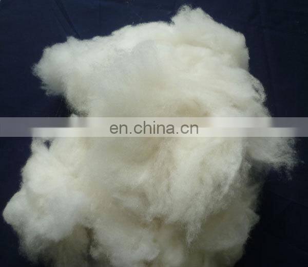 Sharrefun Manufacturer 100% Dehaired and carded cashmere fiber natural white