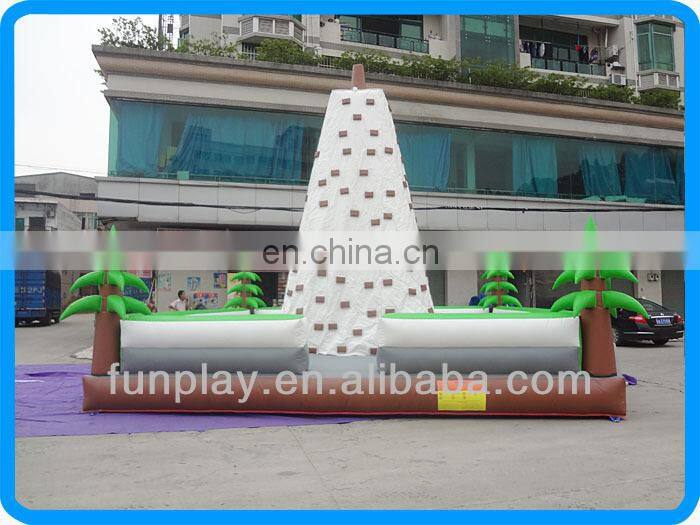 Adult climbing rock climbing walls