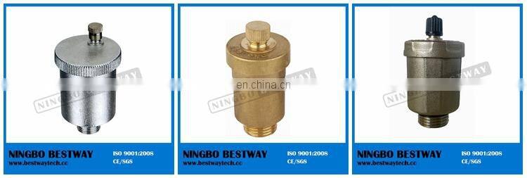 Automatic Air Vent Valve Price