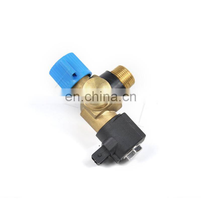 ACT CNG Gasoline cng high pressure solenoid cylinder valve 12v gnv solenoid tank valves