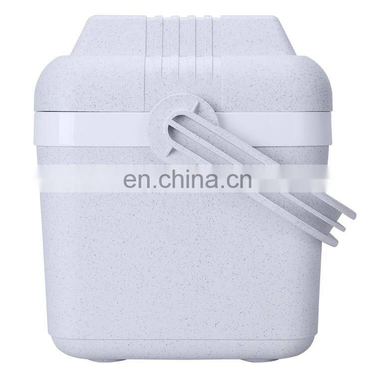 8L Hot Selling Thermal Cheap Small EPS Foam Portable Ice Chest Cooler Box