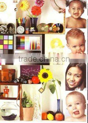 YT series fully automatic nonwoven roll printer-2