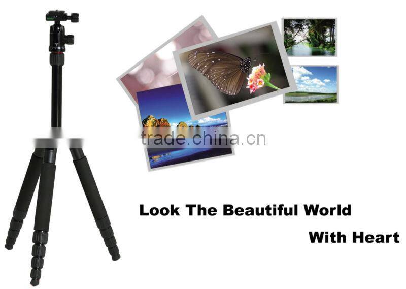 camera Head