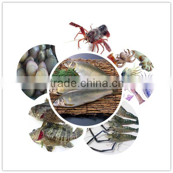 squid fish select machine