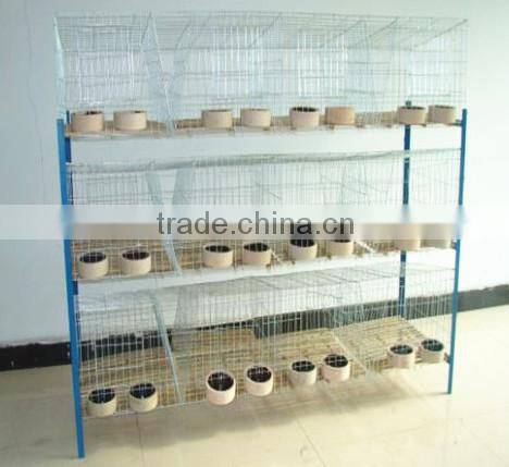 big factory, high quality used poultry battery cages for battery rabbit shed