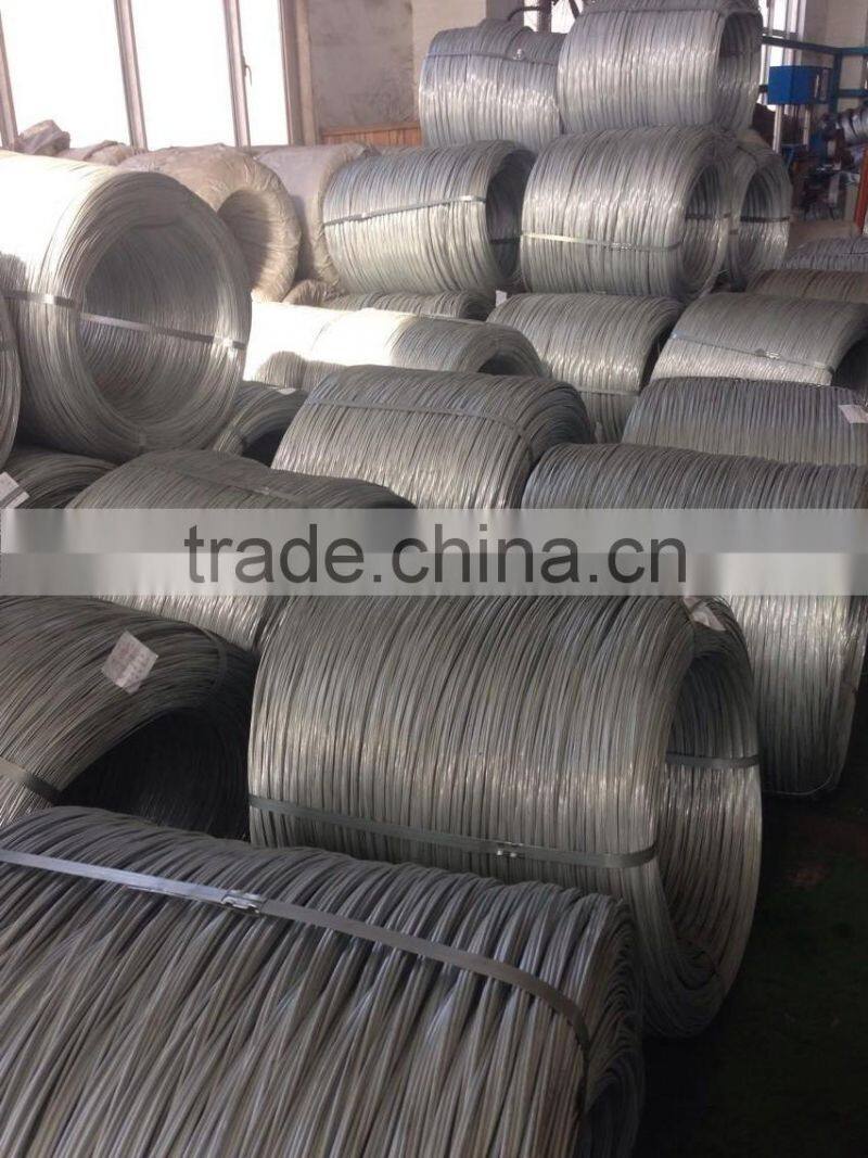 10 gauge electro galvanized iron wire/galvanized wire