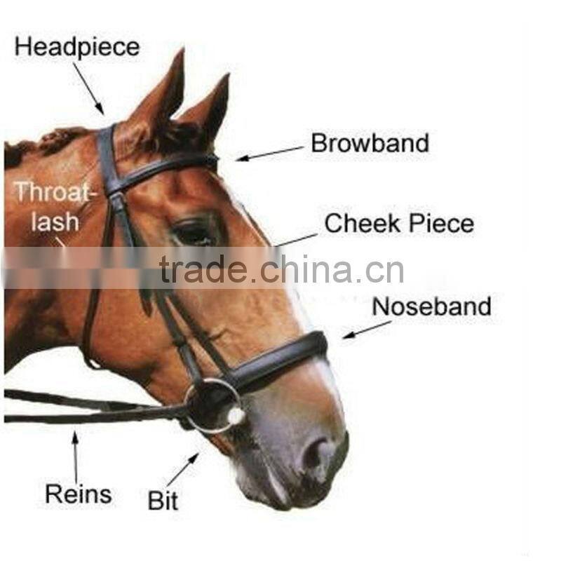Webbing Horse Halter (offer adjustable halter at nose)
