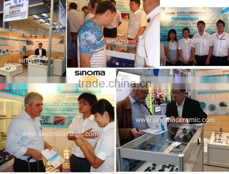 Silicon nitride ceramic rings, Si3N4 Bearing Rings