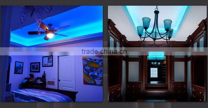 Pure White IP68 Full Waterproof LED Neon Flex Light 24V