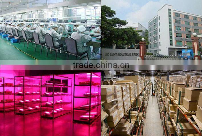 Apollo 9x75w hydroponics equipment garden led light