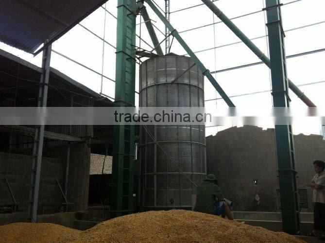 Vietnam Yellow Maize