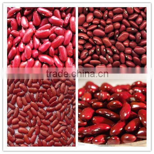 we are supply English red kidney beans with best price for sale