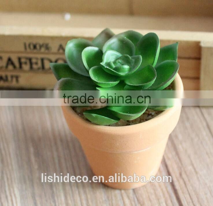 High Quality Artificial Succulent Plants Export Succulent Plants
