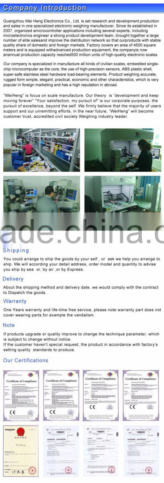 WH-C300 300kg/100g electronic crane digital weighing scale