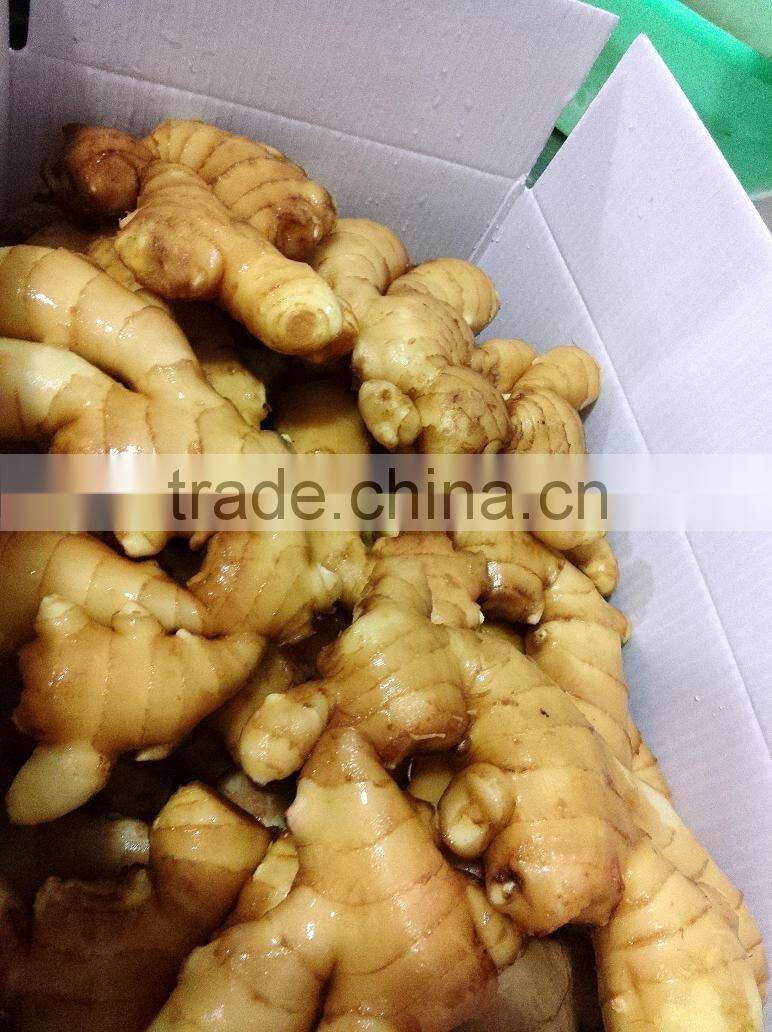 Chinese Fresh ginger High quality