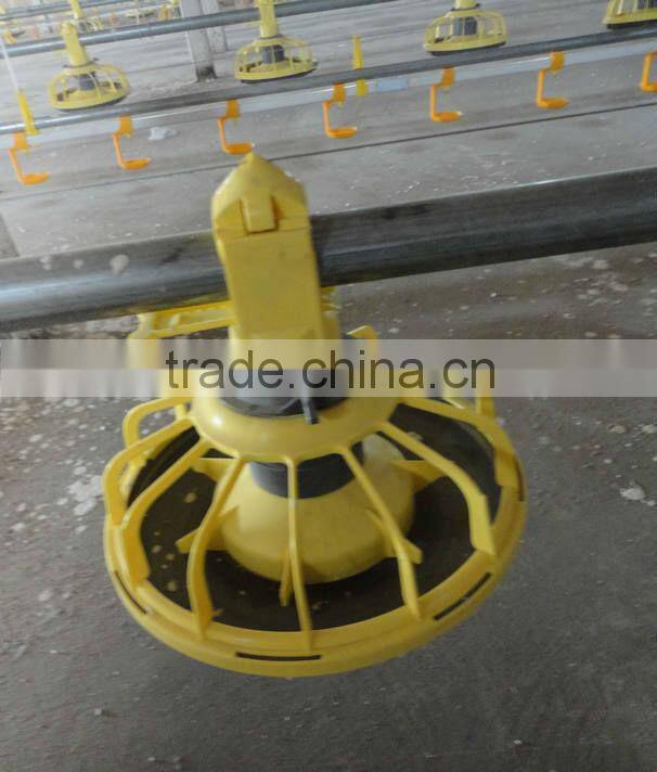 the best design duck feeder