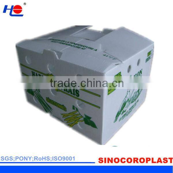 pp corrugated plastic white box