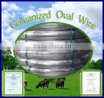 2.0*2.4mm Galvanized Oval wire(factory of producing steel wire)