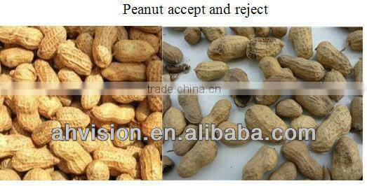 vsee belt color sorter