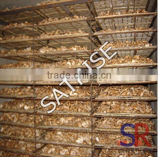 Stainless Steel mushroom/chilli/mango drying machine Price