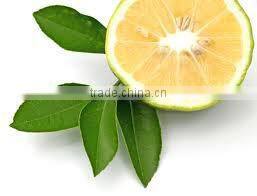 100% Original & Natural Bergamot Oil in India