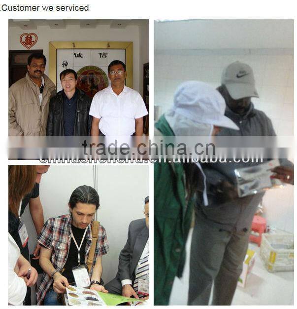 chicken flavor seasoning powder for fried rice