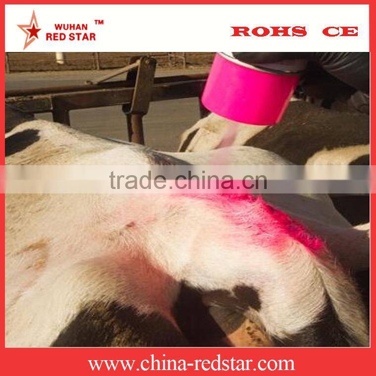 Animal Cheap Marker Spray Crayon