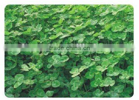 ISO 9001 Glass seeding hydroseeder machine