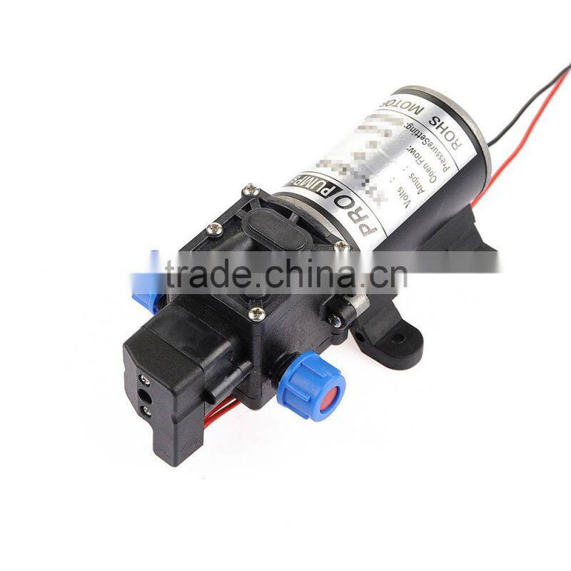Hot Sale Car Wash Micro Diaphragm High Pressure Water Pump with Automatic Switch