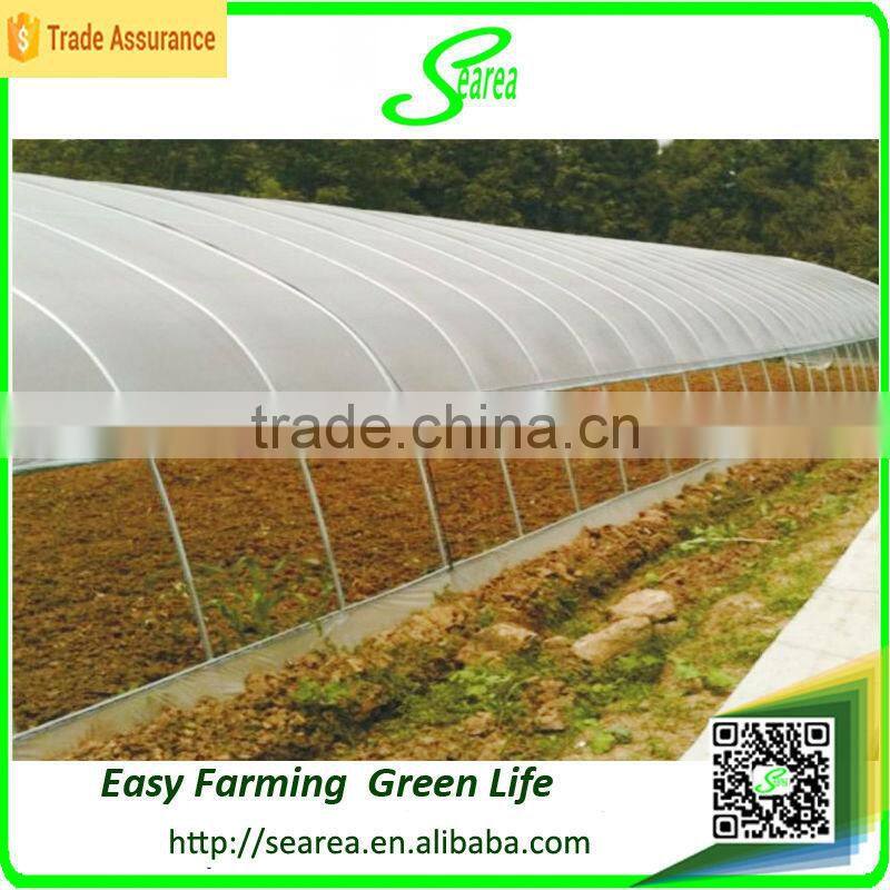 searea Hot sale commerical farming single-span plastic greenhouse