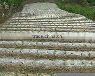 transparent ldpe agriculture film
