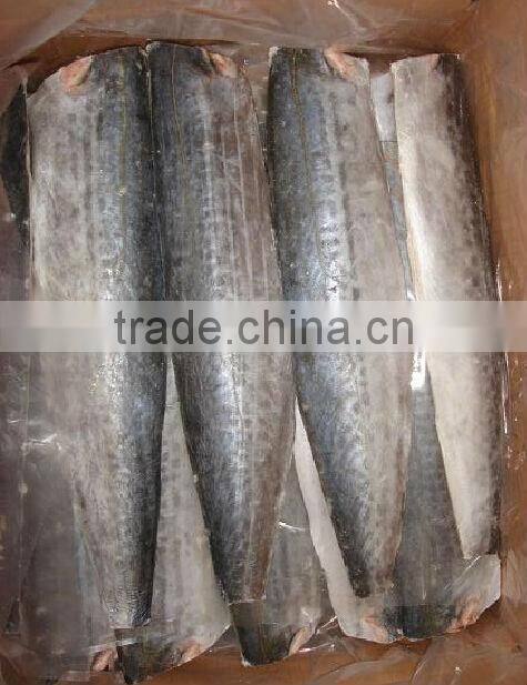 fish meal price of spanish mackerel fillets