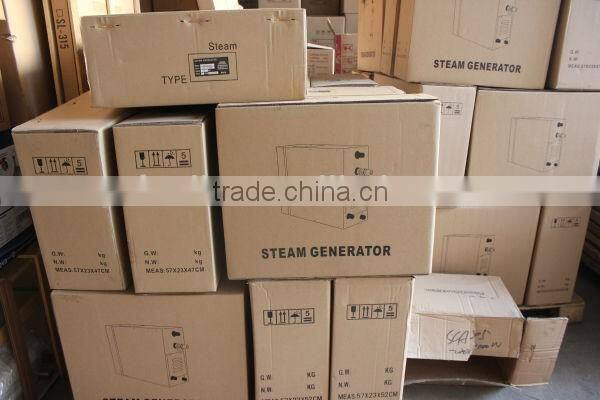 high quality portable HARIYA 9kw steam engine electricity generator sauna sale