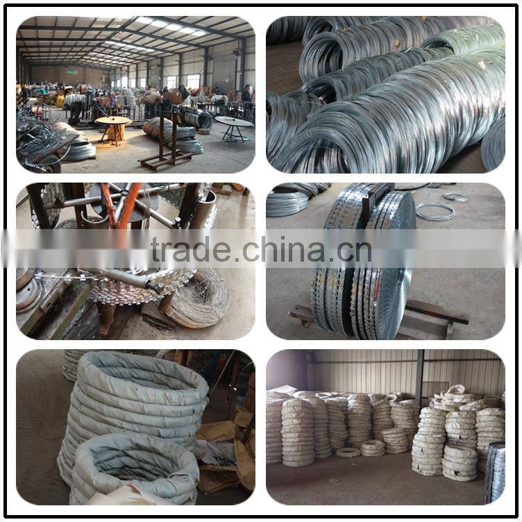 WEIHAO CONCERTINA/RAZOR Wire BTO-22