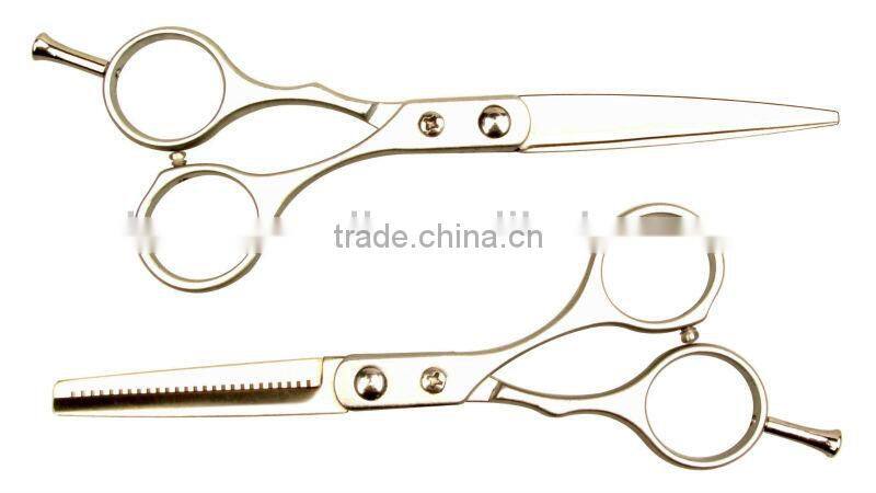 2PC Hairdesser Scissors Set