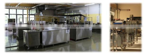 Anko Factory Small Moulding Forming Processor Wonton Wrapper Machine