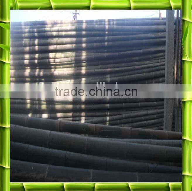 Bamboo poles/bamboo canes from chinese factory