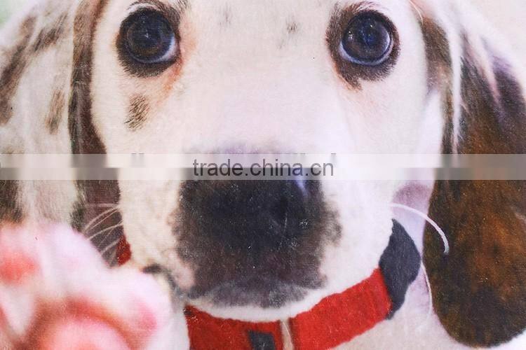 Custom Full Screen Printing Fleece Thermal Throw Carpet For Dogs