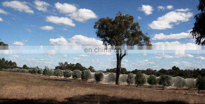 bird netting 20 x 20 m, Agriculture bird netting, Bird protect netting