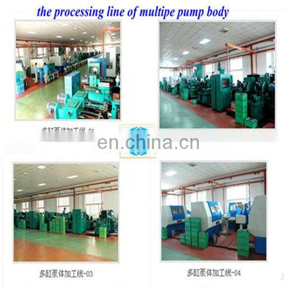 BOSCHS diesel fuel injection pump plunger 2 418 455 034/2455-034