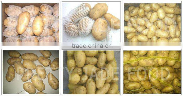 2014 low price Chinese fresh potato exporter
