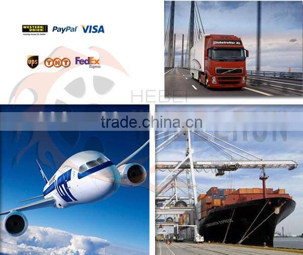 Hot sale PA400 220V 1 phase winch mini electric wire rope hoist