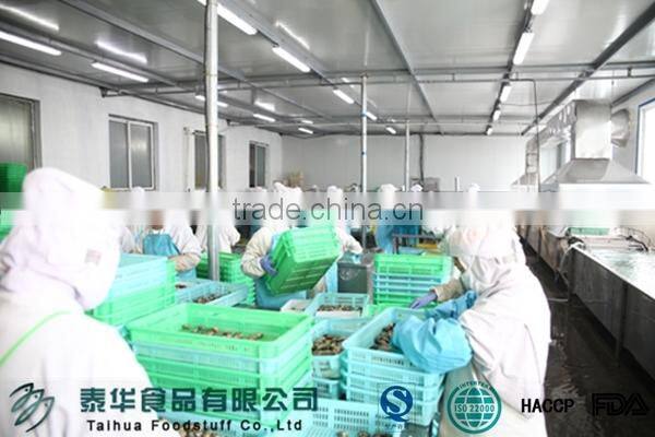 New Produce Frozen Hard Clam with Shell in Good Quality