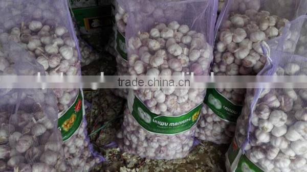 We can supply fresh garlic/ginger/potato/onion/chilli