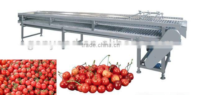 fruit grading machine