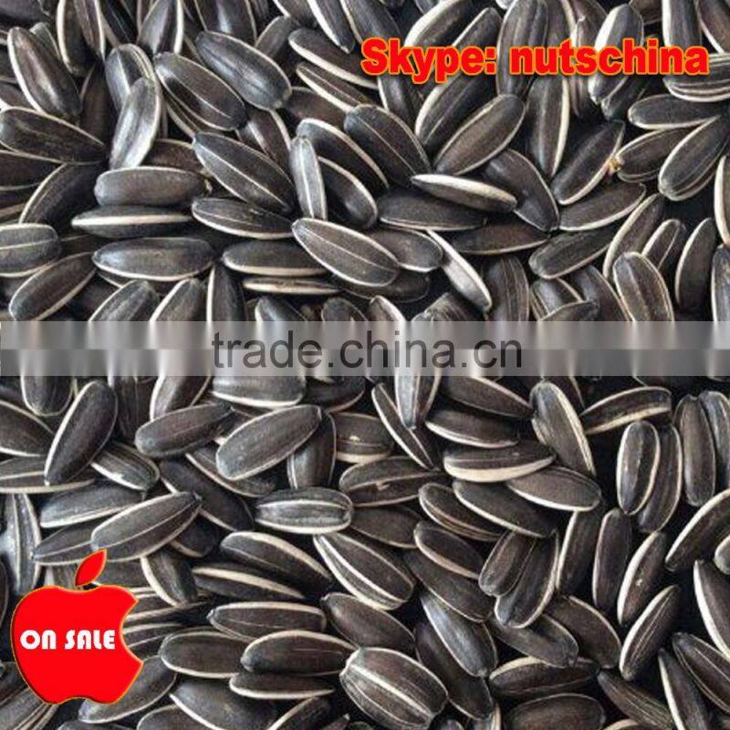 sunflower seeds 5009 24/64 26/68