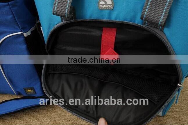 Durable Promotional Lunch Bag,Cooler Thermal Bag,Insulated Cooler Bag