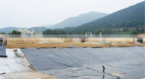 hdpe geomembrane price/hdpe sheet/geomembrane hdpe