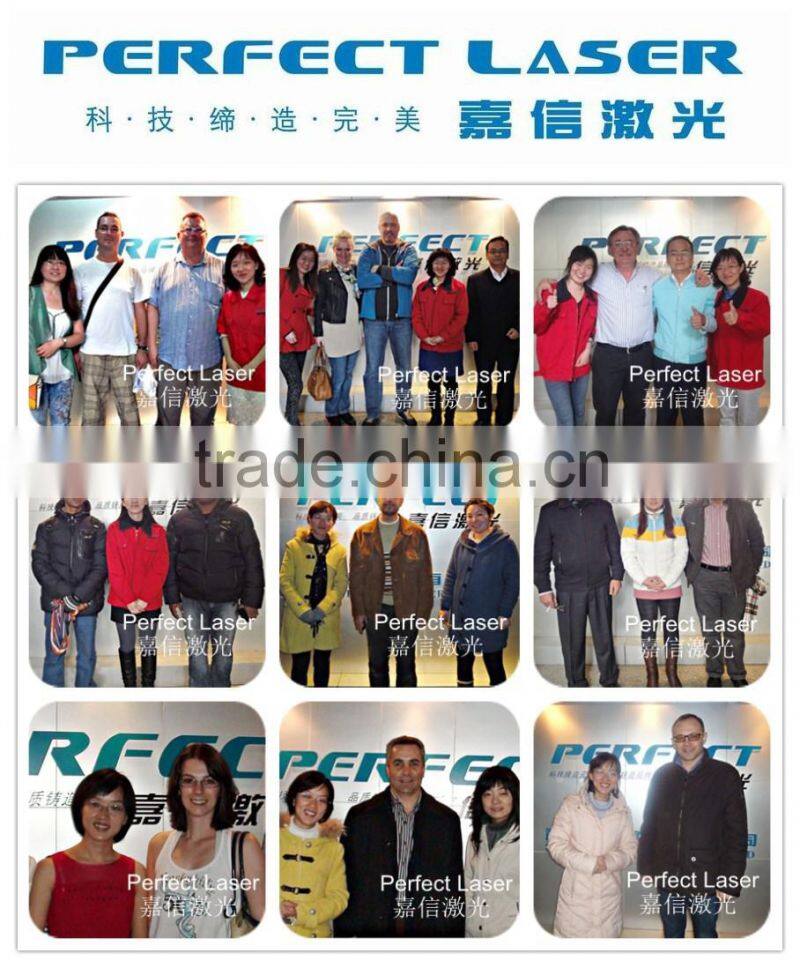 Perfect Laser PEDB-C60 60W Co2 Laser Marking Machine