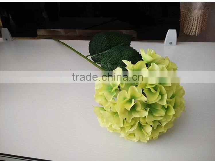 White House plants Hydrangea for wedding